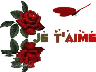mais qui je c pa